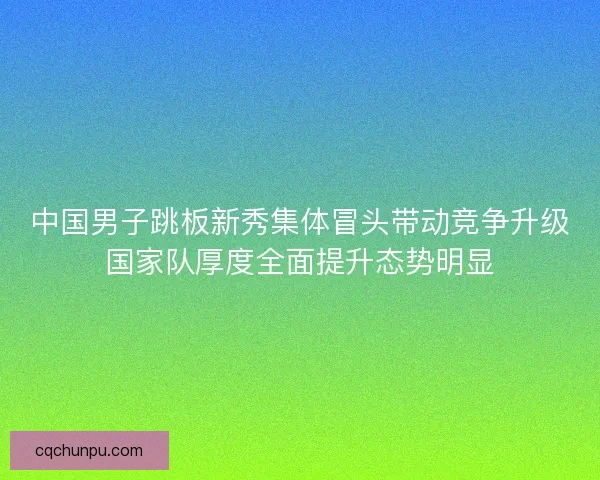 中国男子跳板新秀集体冒头带动竞争升级国家队厚度全面提升态势明显